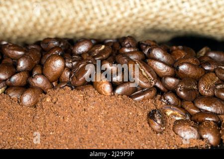 I chicchi di caffè di qualità arabica si trovano sopra il caffè macinato in un sacchetto di iuta Foto Stock
