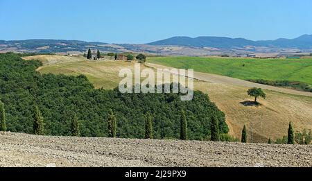 Cappella e casale, viale cipresso (Cupressus) su un colle, San Quirico dOrcia, Val dOrcia, Provincia di Siena, Toscana, Italia Foto Stock