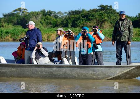 Turisti in motoscafo che guardano la fauna selvatica, Pantanal, Mato Grosso, Brasile Foto Stock