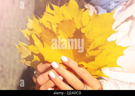 Giovane donna caucasica con foglie di acero. Autunno. Foto Stock
