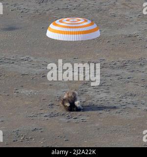 (220331) -- WASHINGTON, 31 marzo 2022 (Xinhua) -- la navicella spaziale con equipaggio Soyuz MS-19 è raffigurata atterrando in un'area a sud-est della città di Dzhezkazgan, Kazakhstan, 30 marzo 2022. Dopo aver esteso il record per il singolo volo spaziale più lungo della storia da parte di un americano a 355 giorni, l'astronauta della NASA Mark Vande Hei è tornato sulla Terra mercoledì con due crewmates russi. Vande Hei partì dalla Stazione spaziale Internazionale insieme ai cosmonauti russi Anton Shkaplerov e Pyotr Dubrov alle 3:21 fuso orario orientale (EDT), e fece un atterraggio sicuro, assistito da paracadute alle 7:28 EDT sud-est o Foto Stock