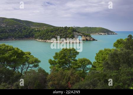 Costa Pugliese: vista panoramica di San Felice Bay, Italia.Il Parco Nazionale del Gargano: il piccolo arco di roccia (Architello) è spettacolare simbolo della città di Vieste. Foto Stock