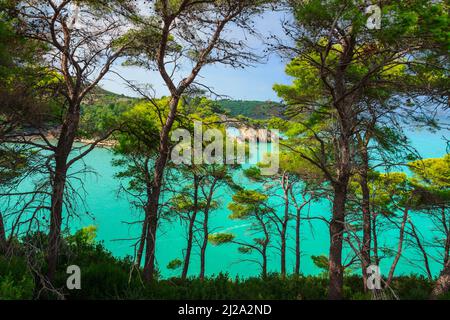 Costa Pugliese: vista panoramica di San Felice Bay, Italia.Il Parco Nazionale del Gargano: il piccolo arco di roccia (Architello) è spettacolare simbolo della città di Vieste. Foto Stock