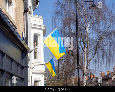 Bandiere blu e gialle a sostegno di Ucraina, High Street, Olney, Buckinghamshire, Regno Unito Foto Stock