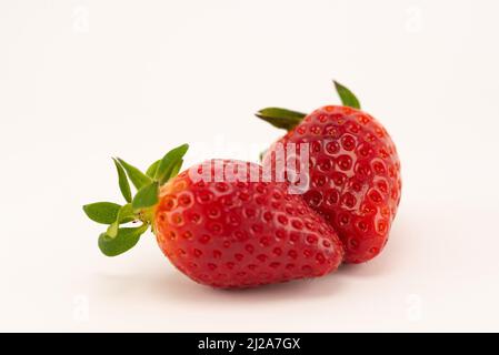 Due fragole succose e fresche in modalità macro Foto Stock