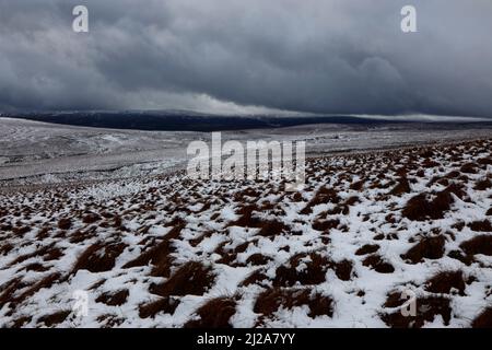 La vista lontana di Great Dun cadde da Harwood Common, Upper Teesdale, County Durham, Inghilterra, Regno Unito Foto Stock