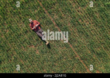 Coltivatore che si stesa a terra e utilizzando il telecomando drone per osservare il campo di grano coltivato, vista dall'alto drone pov Foto Stock