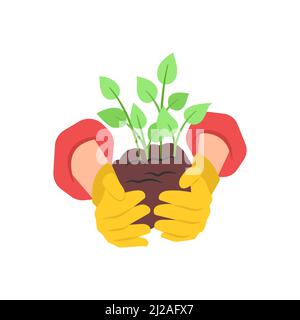Una manciata di terra con germogli germogliati nelle palme. Due mani in guanti di gomma. Illustrazione vettoriale Illustrazione Vettoriale