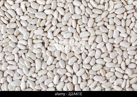 Fondo di fagioli bianchi non cotti Foto Stock