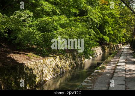 Vista orizzontale del Sentiero pedonale della Filosofia (o passeggiata del filosofo), Higashiyama settentrionale, Kyoto, Giappone Foto Stock