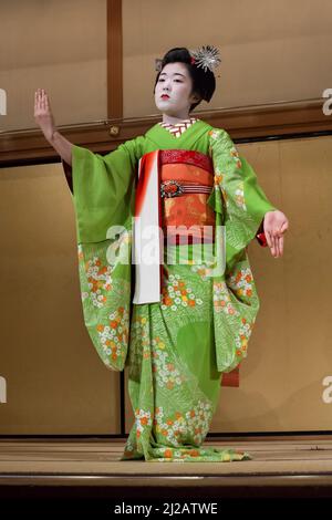 Vista verticale di una geisha che indossa un kimono in uno spettacolo tradizionale giapponese a Gion Corner, all'Auditorium della Sala Gion Yasaka, Higashiyama, Kyoto Foto Stock