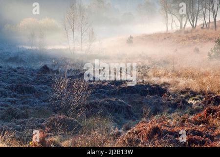 Vista attraverso la brughiera a un cielo drammatico sopra Cherry Tree Slade in autunno Cannock Chase Area of Outstanding Natural Beauty Staffordshire Foto Stock