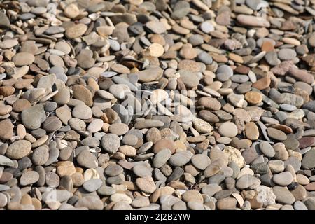 Ciottoli sulla riva del Reno Foto Stock