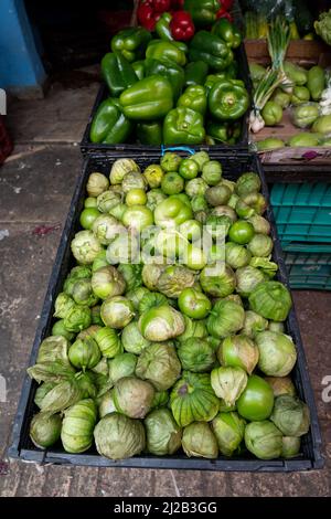 Pomodori verdi freschi o tomatillo in mostra in un mercato in Messico, di giorno, senza persone Foto Stock