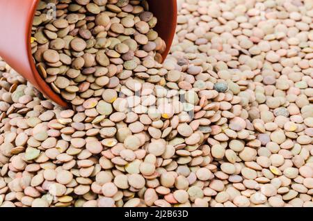 Le lenticchie secche marroni in tazza Foto Stock