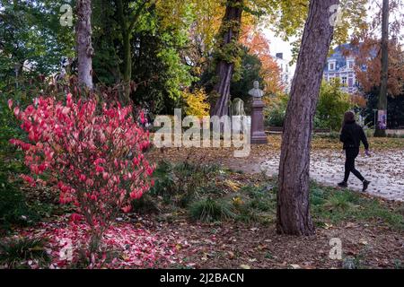 Rouen (Normandia, Francia settentrionale): Piazza Verdel in autunno, nel centro della città. Sullo sfondo, il busto di Maupassant Foto Stock