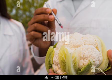 Vista ritagliata del botanista africano americano che tiene cavolfiore e siringa vicino a un collega sfocato in serra Foto Stock