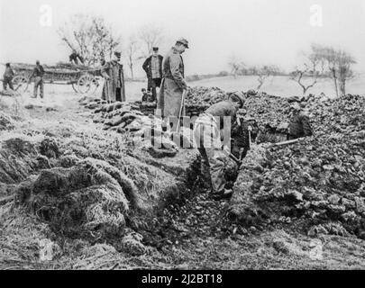 Battaglione britannico della prima guerra mondiale del 2nd, Royal Scots Fusiliers scavando trincee a Geluwe nel 1914 durante la prima guerra mondiale nelle Fiandre Occidentali, Belgio Foto Stock