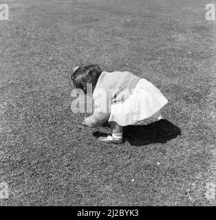 1961, storica, fuori su un prato, una bambina che si piega per prendere una margherita, Inghilterra, Regno Unito. Foto Stock