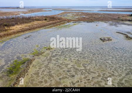 Paludi saline costiere e mudflats dell'isola di Torcello nella Laguna di Venezia Foto Stock