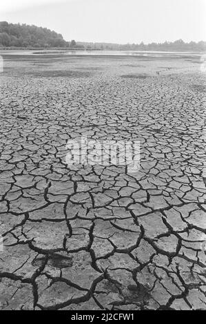 Siccità: Cracked pianura vicino a Leersum ca. 16 luglio 1976 Foto Stock