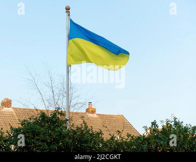 Bandiera Ucraina in Inghilterra, Regno Unito volò in solidarietà con l'Ucraina durante l'invasione russa dell'Ucraina del 2022 Foto Stock