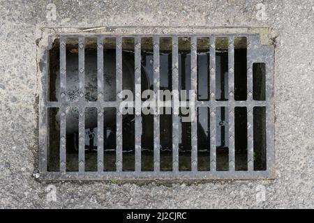 Griglia fognaria di drenaggio con livello dell'acqua all'interno e tubo in plastica. Su una pavimentazione asfaltata. Primo piano Foto Stock