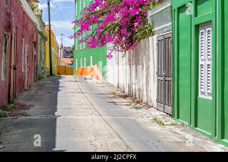 Giornata di sole a Willemstad, Curacao - camminando attraverso vicoli con case dipinte colorate e bouganvillea fiorente Foto Stock