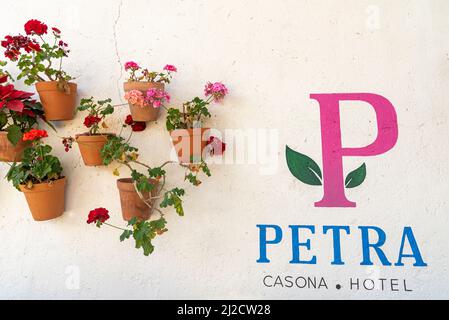 Il Petra Hotel. Una bella struttura con un ampio patio sul retro, con pareti decorate con numerosi vasi di terracotta e fiori colorati. Messico. Foto Stock