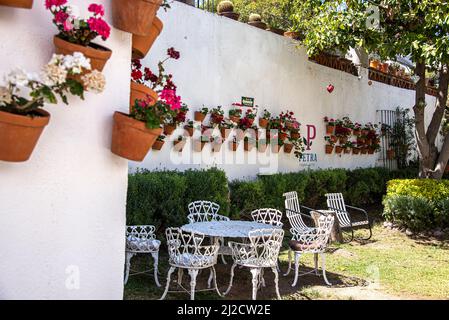 Il Petra Hotel. Una bella struttura con un ampio patio sul retro, con pareti decorate con numerosi vasi di terracotta e fiori colorati. Messico. Foto Stock