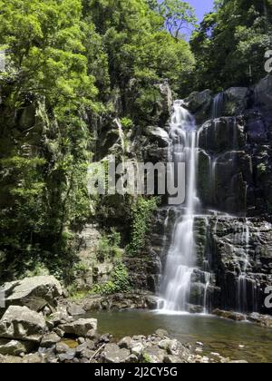Un colpo verticale di una cascata nel parco nazionale della foresta pluviale di Minnamurra, nuovo Galles del Sud, Australia Foto Stock
