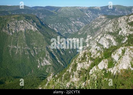 vista sul canyon del fiume Tara dal Monte Curevac nel Parco Nazionale Durmitor, Montenegro Foto Stock