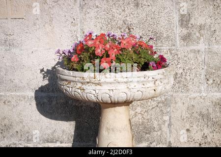 Fioritura multicolore di petunias in un vaso di pietra cratere, Montenegro Foto Stock