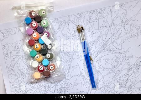 Paint by number kit su tela per gli amanti della pittura è composto da pennello, tela e colori. Foto Stock