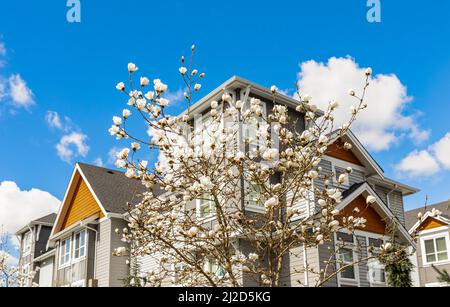 Il lato anteriore della casa con bella finestra e fiori di primavera. Facciata della casa. Nessuno, foto di strada, vista dall'alto Foto Stock