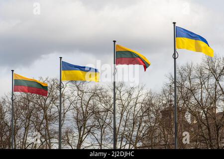 Bandiere ucraine e lituane che rinunciano insieme al cielo nuvoloso sullo sfondo Foto Stock