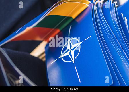 Bandiere e simboli della NATO, dell'Organizzazione del Trattato del Nord Atlantico e della Lituania, dell'unità di integrazione della forza della NATO, primo piano Foto Stock