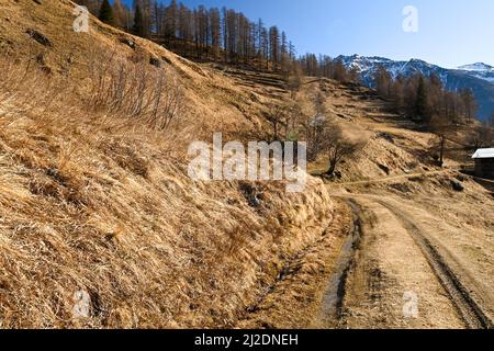 Splendida vista sul parco nazionale dello Stelvio Foto Stock