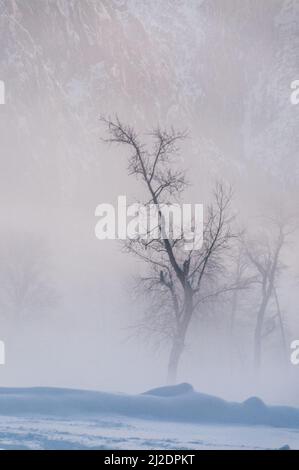 La valle di Yosemite è circondata da un sottile strato di nebbia che si estende sul fiume merced, fornendo un'atmosfera inquietante intorno al tramonto. Foto Stock