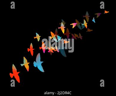 Uccelli multicolore. Un gregge di uccelli colorati di notte. Su sfondo nero. . Illustrazione vettoriale Illustrazione Vettoriale