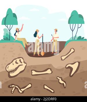 Gruppo di archeologi alla scoperta di fossili, scavando terreno con ossa di dinosauro. Illustrazione vettoriale per archeologia, paleontologia, scienza, spedizione Illustrazione Vettoriale