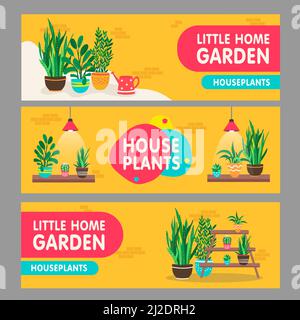 Set banner piante domestiche. Piante di casa con pentole su scaffali illustrazioni vettoriali con testo. Casa di interni e giardino concept per flyers negozio di fiori e. Illustrazione Vettoriale