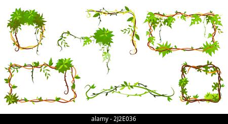 Collezione di cornice tropicale verde. Cartoon cornice a forma di lianas, giungla pianta rami con foglie, bordi con spazio copia. Vettore isolato illustrato Illustrazione Vettoriale