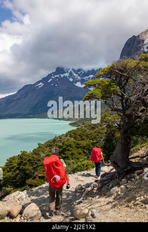 Cile, 21-01-2020, il terzo giorno del W-Trek nel parco delle Torres del Paine mostra la Valle Francese con il lago Nordenskjold Foto Stock