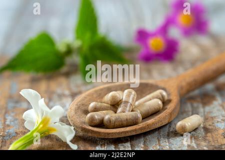 Cucchiaio di legno di alimenti suplements medicina sana medicina cura della salute trattamento additivi farmacia con piante fresche medicinali sullo sfondo Foto Stock
