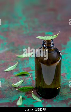 Limone verbena olio essenziale e foglie sul legno su vecchio lavano tavola verde. Vetro, fresco Foto Stock