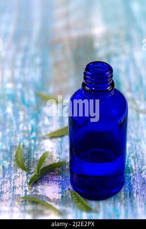 Olio essenziale di verbena al limone e foglie sul bordo blu bosodenld. Vetro, fresco Foto Stock