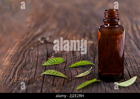 Limone verbena olio essenziale bpttle e foglie sul legno di tavola. Vetro, fresco Foto Stock