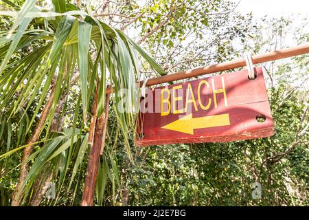 Cartello con la scritta Beach e una freccia che punta a sinistra indirizza i turisti verso il mare più vicino in una destinazione tropicale. Foto Stock