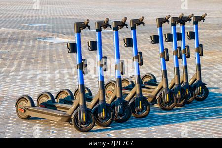 Minsk, Bielorussia - 24 marzo 2022: Otto scooter elettrici blu in fila aspettano gli utenti. Trasporto urbano moderno ecologico Foto Stock